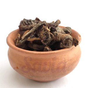 Hongos de Pino x 50gr