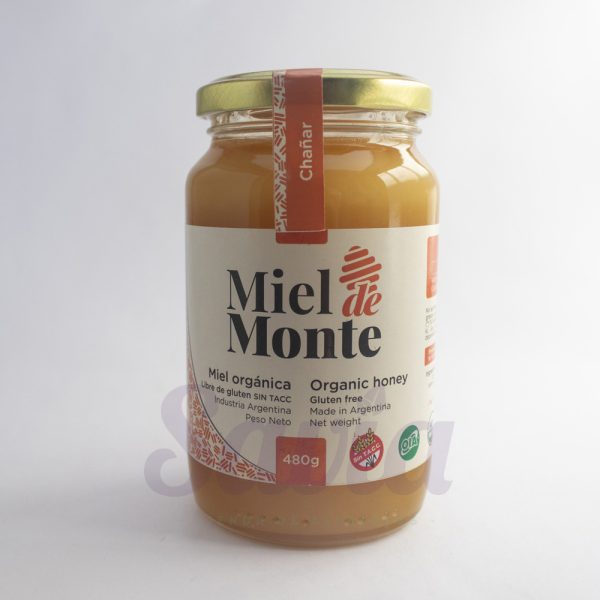 Miel orgánica del monte por 480gr (chañar)